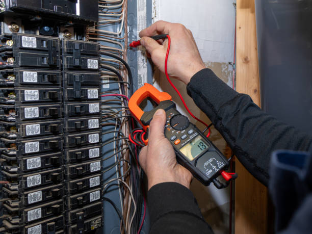 Best Electric Panel Repair  in Waimea, HI